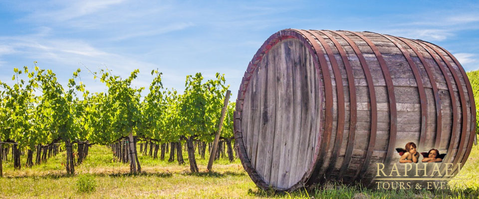 Visit the Chianti Region in Tuscany