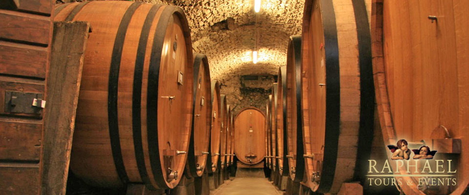 Learn about Italian wine production