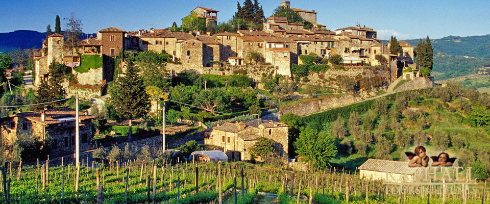 Wine, food, history and art