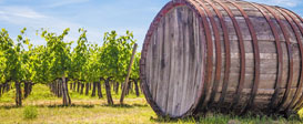 Chianti Wine Tour